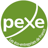 logo pexe